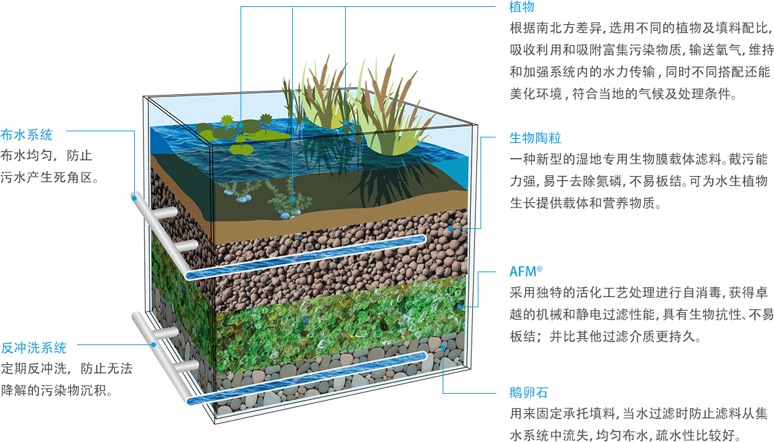 亿万先生MR海绵城市湿地