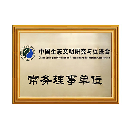 中国生态文化钻研与推进会常务理事单元 - 亿万先生MR