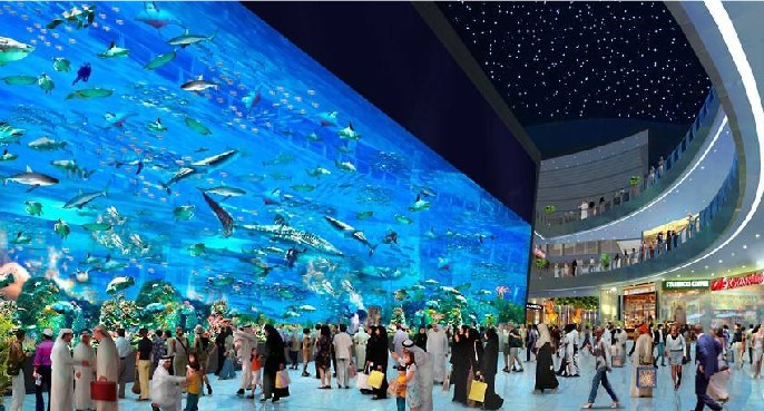 幼图3迪拜购物中心水族馆.jpg