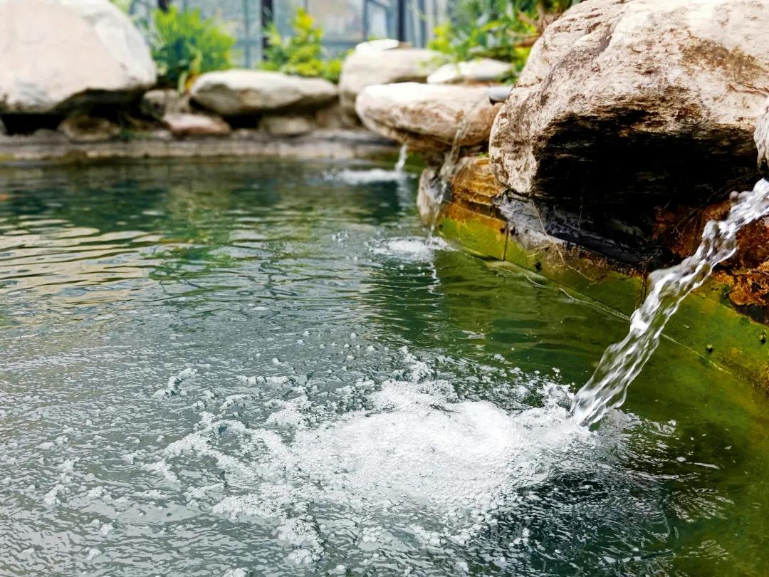 幼区景观设计,水景设计