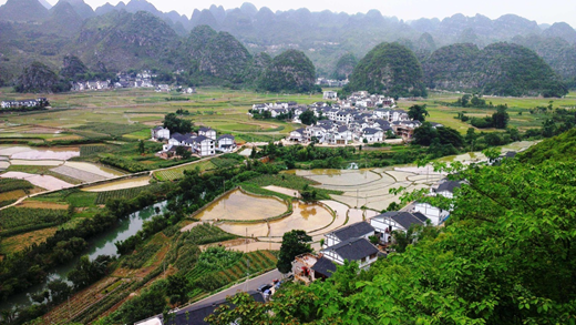 村落振兴,亿万先生MR村落振兴