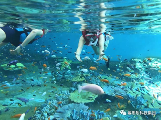 海洋浮潜馆，海洋馆设备