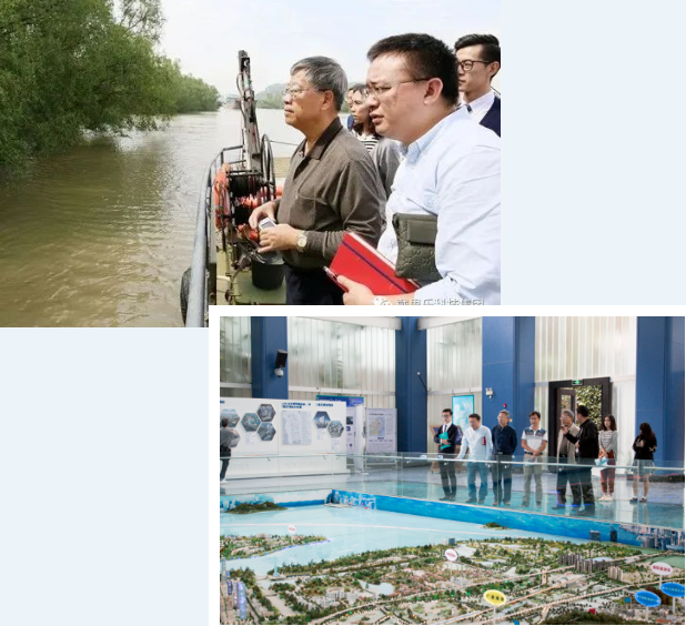 亿万先生MR湿地生态系统