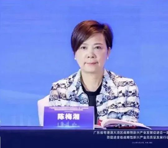亿万先生MR陈梅湘董事长当选大湾区战新会副会长