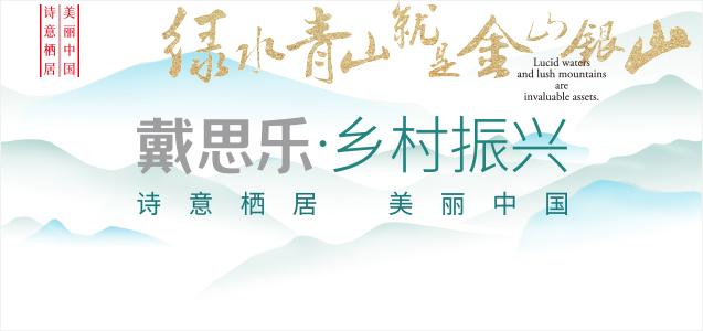 村落振兴战术蕴含哪五个创新蹊径？