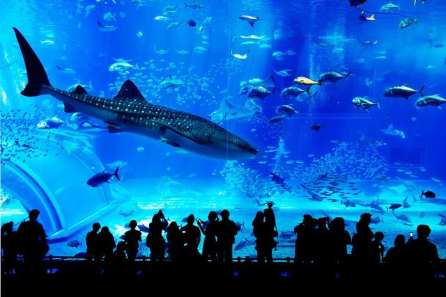 水族馆水处置系统设计规划