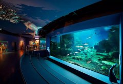 水族馆的建设过程中必要思考哪些成分？必要哪些设备呢？