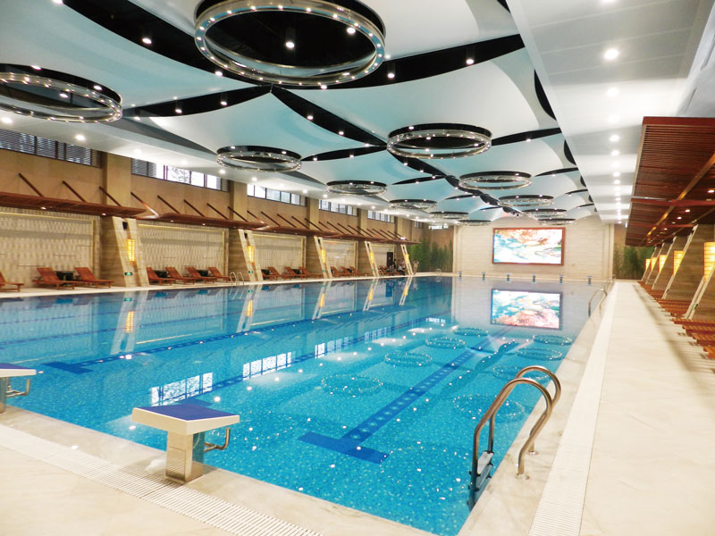 听说有的泳池设备能手机节造？别墅泳池智能水处置设备有哪些